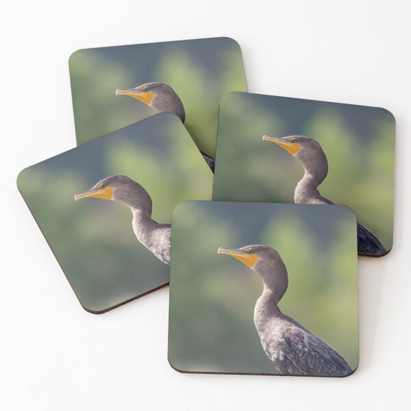 Item preview, Double-crested Cormorant Portrait designed and sold by CarolM.
