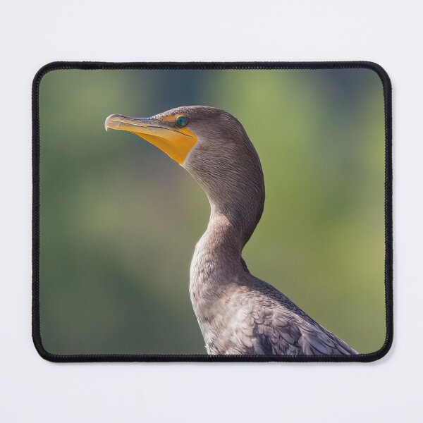 Item preview, Double-crested Cormorant Portrait designed and sold by CarolM.