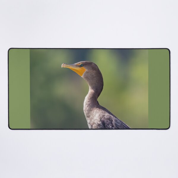 Item preview, Double-crested Cormorant Portrait designed and sold by CarolM.