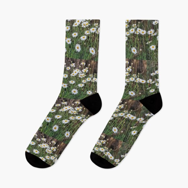 Item preview, Daisy Family designed and sold by heatherfriedman.