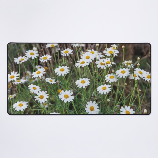 Item preview, Daisy Family designed and sold by heatherfriedman.