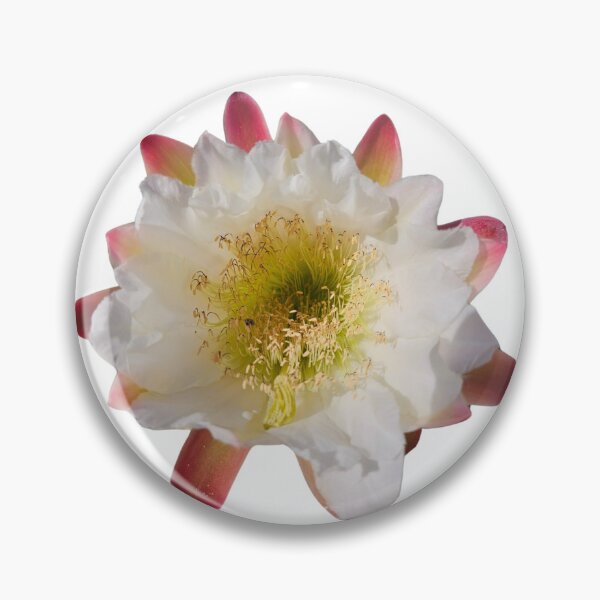 Item preview, Cactus Bloom #2 designed and sold by beckscre8ive.