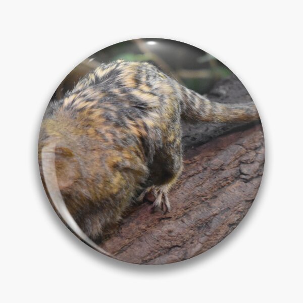 Item preview, Marmoset designed and sold by Igor Pozdnyakov.