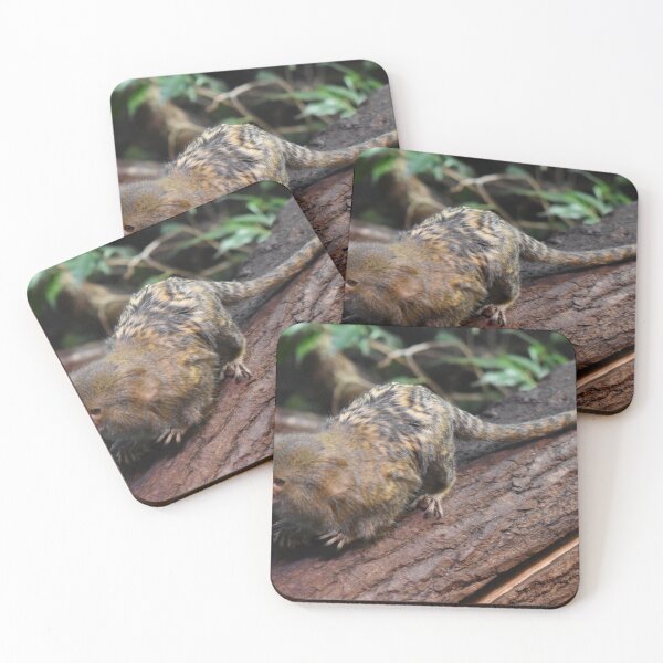 Item preview, Marmoset designed and sold by Igor Pozdnyakov.