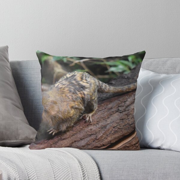 Item preview, Marmoset designed and sold by Igor Pozdnyakov.