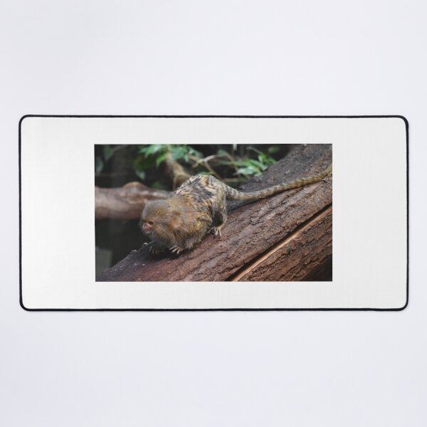 Item preview, Marmoset designed and sold by Igor Pozdnyakov.