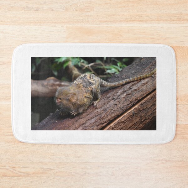 Item preview, Marmoset designed and sold by Igor Pozdnyakov.