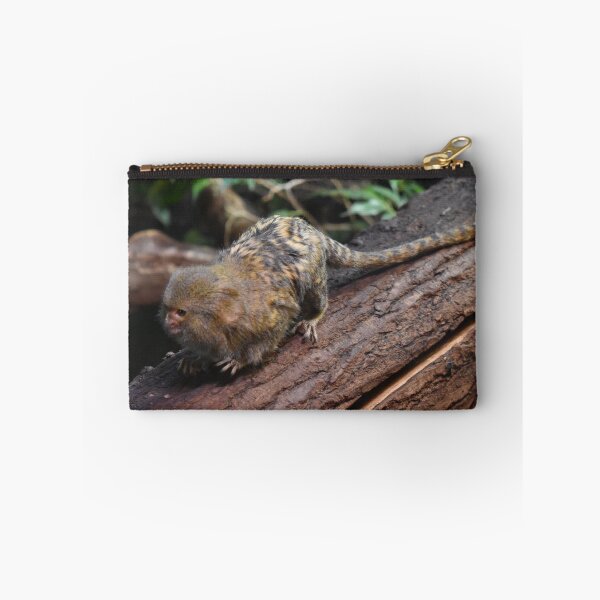 Item preview, Marmoset designed and sold by Igor Pozdnyakov.