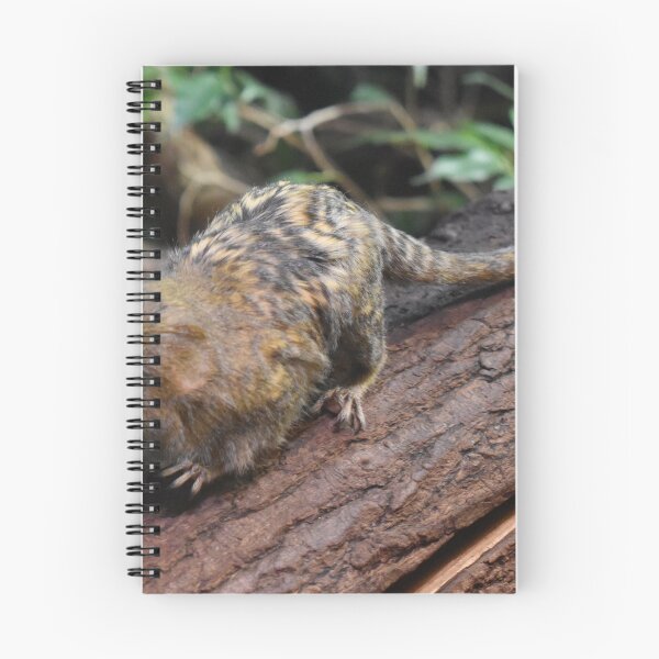 Item preview, Marmoset designed and sold by Igor Pozdnyakov.