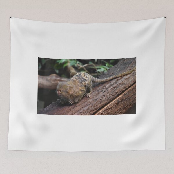 Item preview, Marmoset designed and sold by Igor Pozdnyakov.
