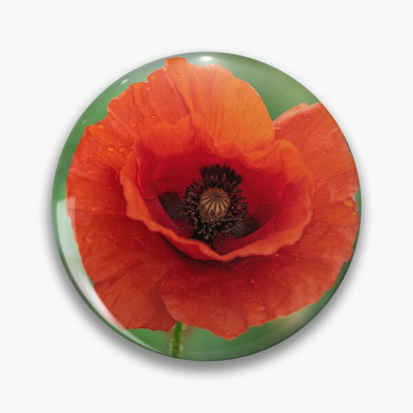 Item preview, Solitary Poppy designed and sold by Tom McPherson Photography.