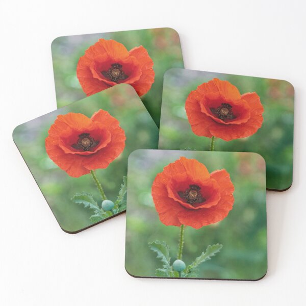 Item preview, Solitary Poppy designed and sold by Tom McPherson Photography.