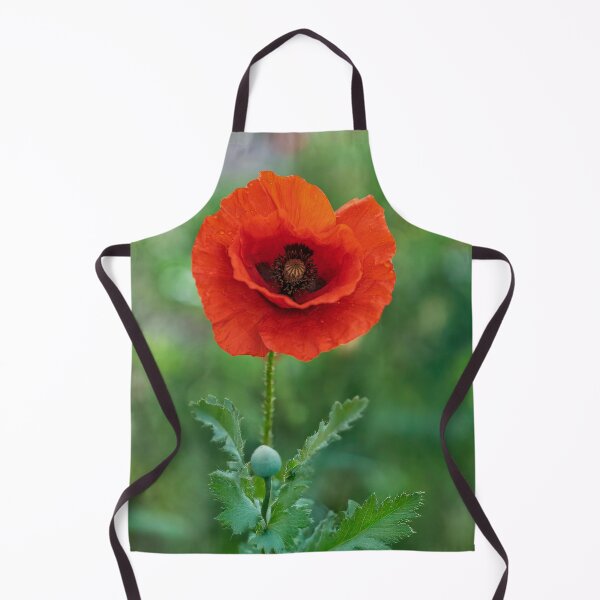 Item preview, Solitary Poppy designed and sold by Tom McPherson Photography.