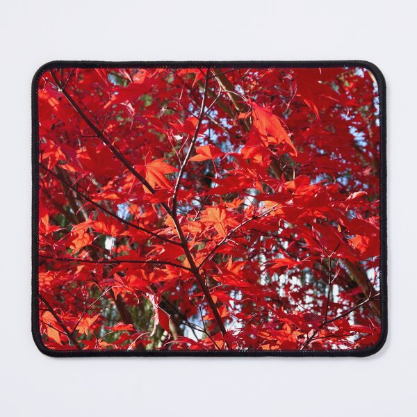 Item preview, Spectacular Red Maple Leaves designed and sold by couragesings.