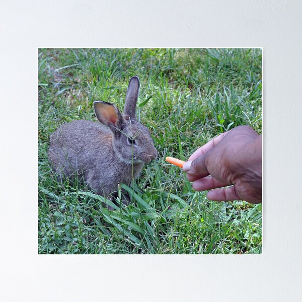 Item preview, a carrot failing the BunRab taste test miserably designed and sold by Lenny La Rue, IPA.
