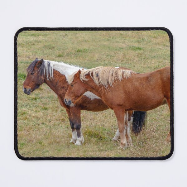 Item preview, Icelandic Horse Duo, Iceland designed and sold by Catherine Sherman.