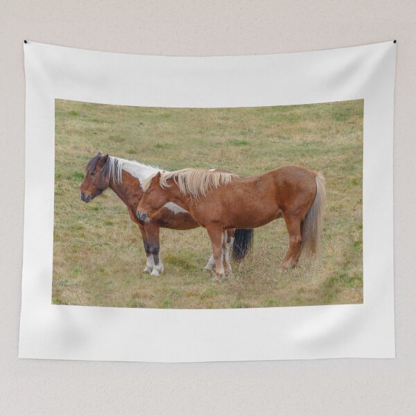 Item preview, Icelandic Horse Duo, Iceland  designed and sold by Catherine Sherman.