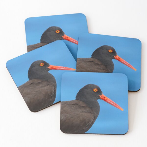 Item preview, Black Oystercatcher Walking on Beach Driftwood designed and sold by walkswithnature.