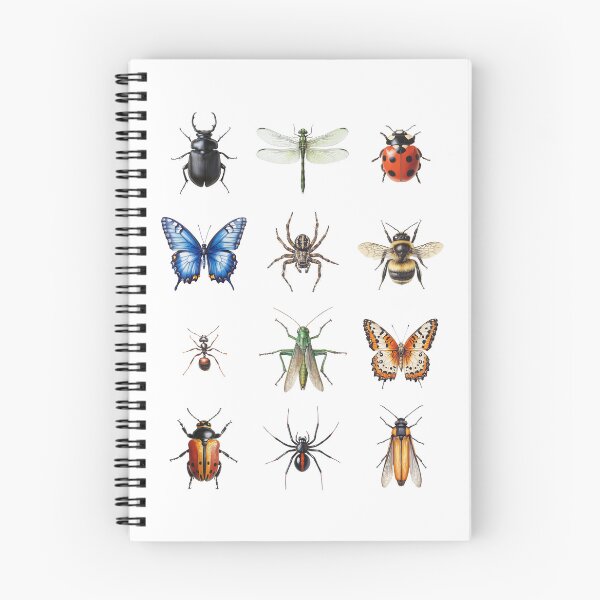 Item preview, Insect collection designed and sold by TheBlindBandit-.