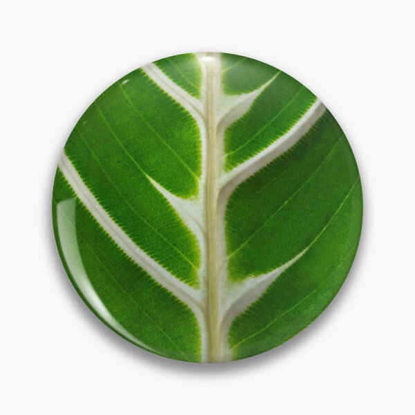 Item preview, Maranta designed and sold by Lakadaisy.
