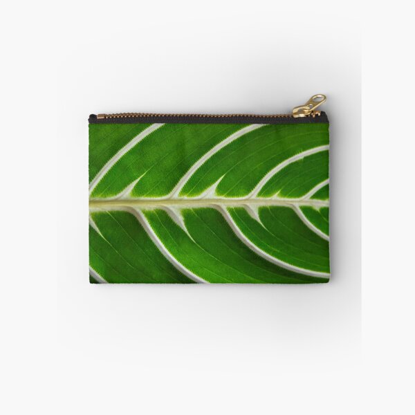 Item preview, Maranta designed and sold by Lakadaisy.