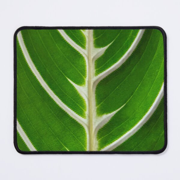 Item preview, Maranta designed and sold by Lakadaisy.