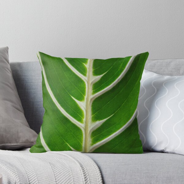 Item preview, Maranta designed and sold by Lakadaisy.