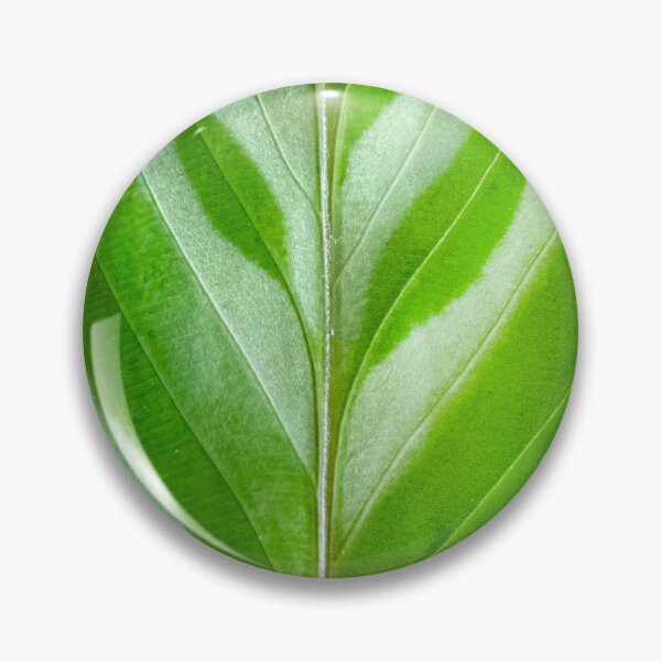 Item preview, Calathea designed and sold by Lakadaisy.