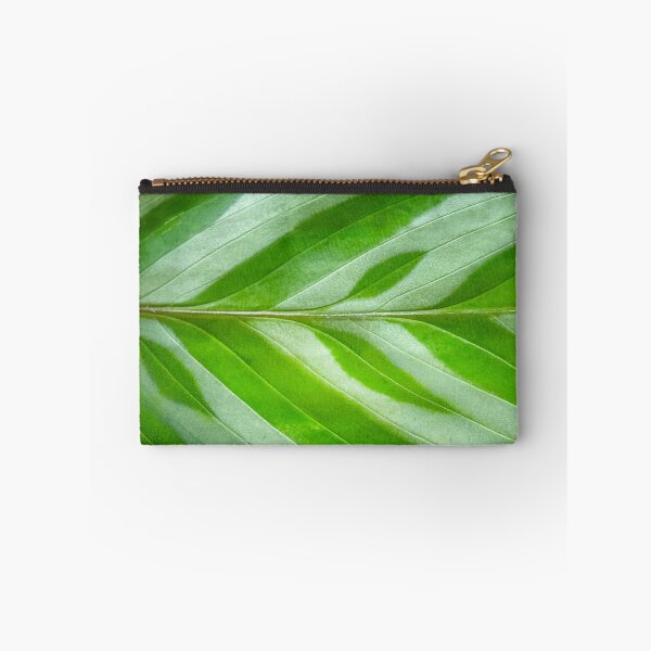 Item preview, Calathea designed and sold by Lakadaisy.