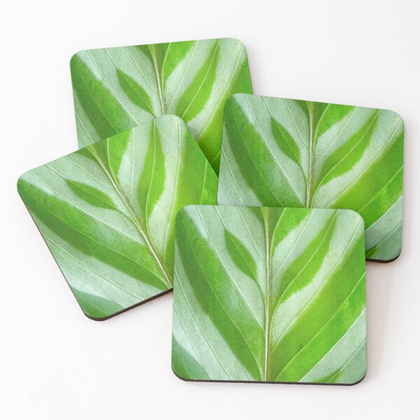 Item preview, Calathea designed and sold by Lakadaisy.