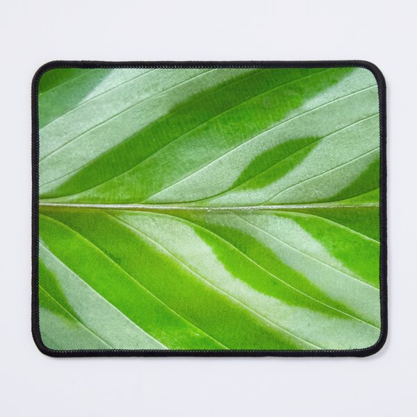Item preview, Calathea designed and sold by Lakadaisy.