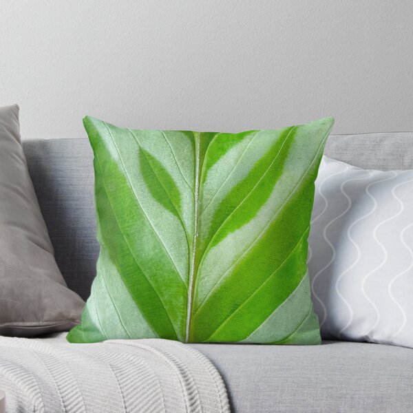 Item preview, Calathea designed and sold by Lakadaisy.