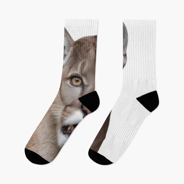 Item preview, BEAUTIFUL MOUNTAIN LION STARE ai generated created by frasues designed and sold by frasues.