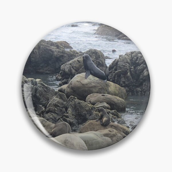 Item preview, New Zealand Fur Seal designed and sold by Marine Wonders.