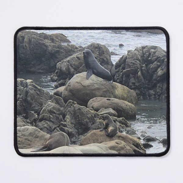 Item preview, New Zealand Fur Seal designed and sold by Marine Wonders.
