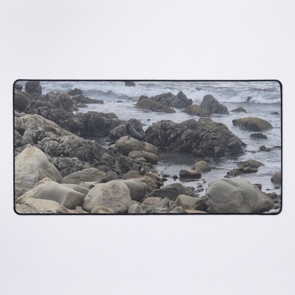 Item preview, New Zealand Fur Seal designed and sold by Marine Wonders.
