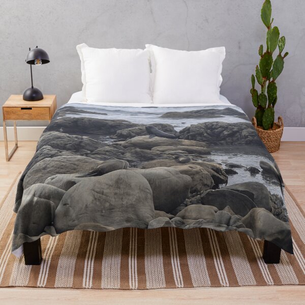 Item preview, New Zealand Fur Seal designed and sold by Marine Wonders.