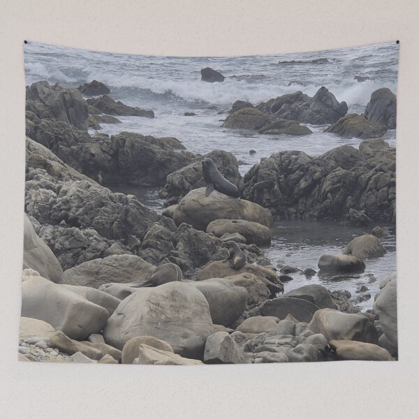 Item preview, New Zealand Fur Seal designed and sold by Marine Wonders.