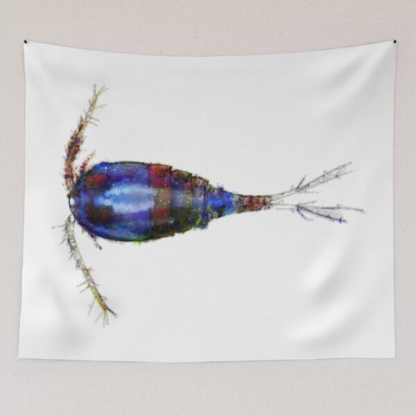 Item preview, Inverted Copepod designed and sold by Marine Wonders.
