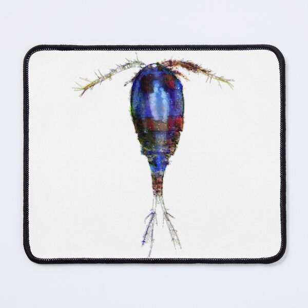 Item preview, Inverted Copepod designed and sold by Marine Wonders.