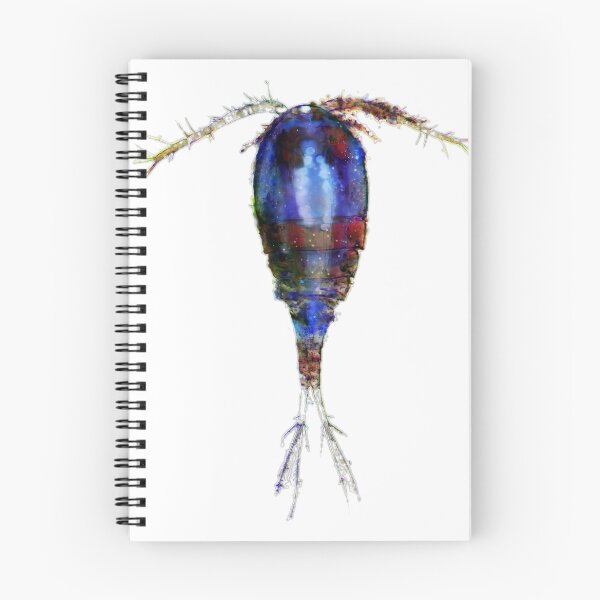Item preview, Inverted Copepod designed and sold by Marine Wonders.