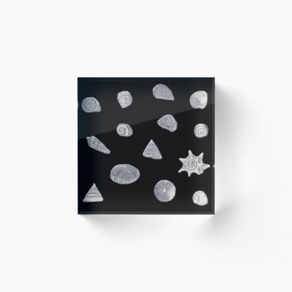 Item preview, Sea Shells Sketch Collection designed and sold by Marine Wonders.