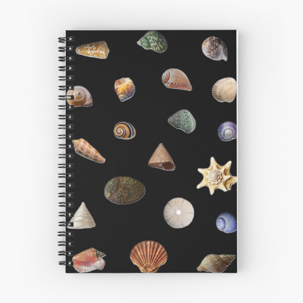 Item preview, Sea Shells Collection designed and sold by Marine Wonders.