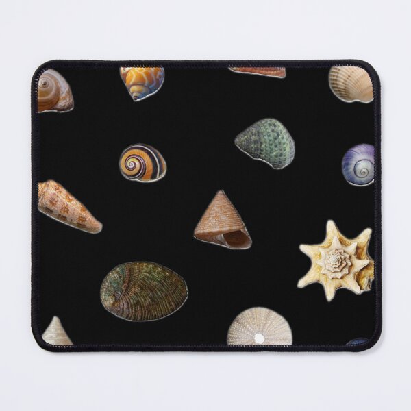 Item preview, Sea Shells Collection designed and sold by Marine Wonders.