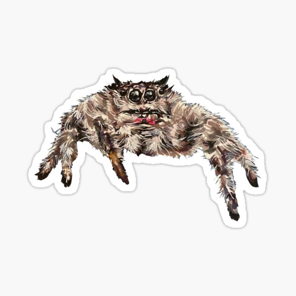 Item preview, Hand Drawn Jumping Spider in Marker and Gel Pen designed and sold by Paintbrushbetty.