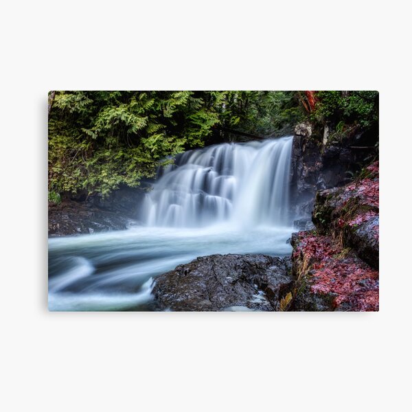 Item preview, Mohun Creek Falls Vancouver Island designed and sold by LarsOlofPhoto.
