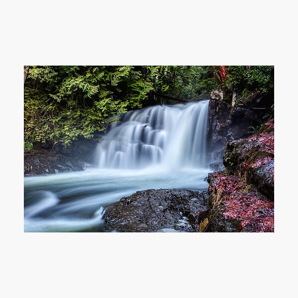 Item preview, Mohun Creek Falls Vancouver Island designed and sold by LarsOlofPhoto.