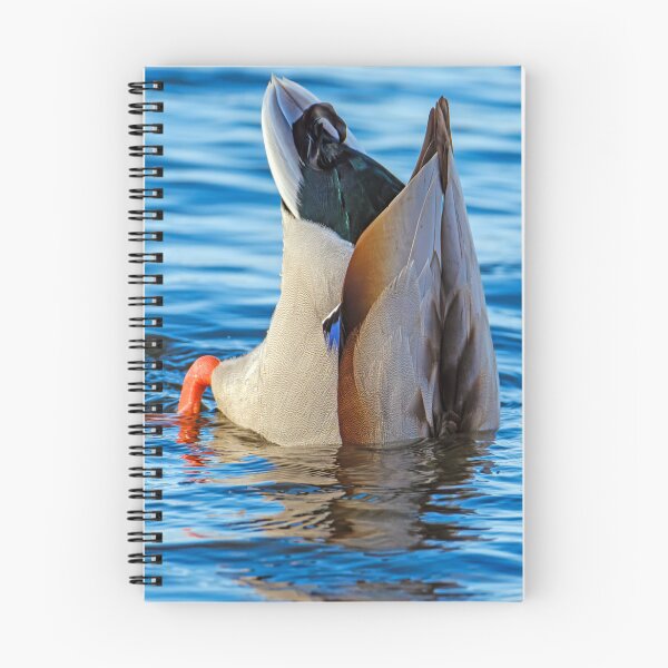 Item preview, Bottoms up duck in lake designed and sold by lisavonbiela.