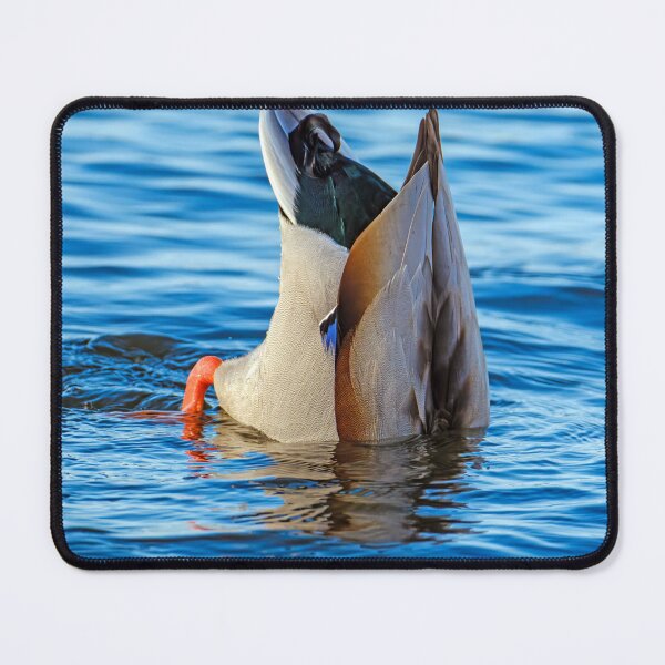 Item preview, Bottoms up duck in lake designed and sold by lisavonbiela.