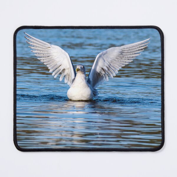 Item preview, Gull resting on water with wings extended designed and sold by lisavonbiela.